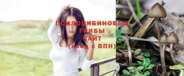 герыч Абдулино