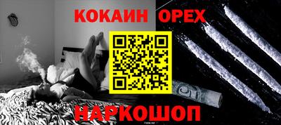 шишки Кимры