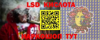 шишки Кимры