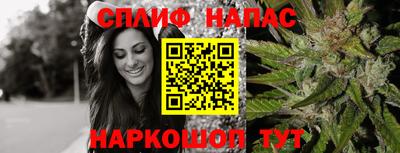 шишки Кимры