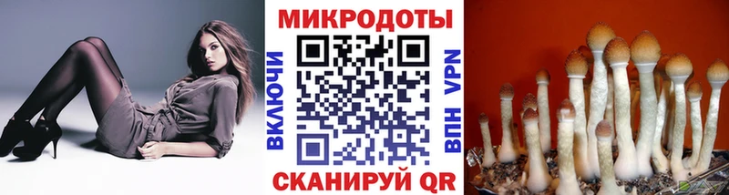 Галлюциногенные грибы Psilocybine cubensis  где можно купить наркотик  даркнет телеграм  Лосино-Петровский 