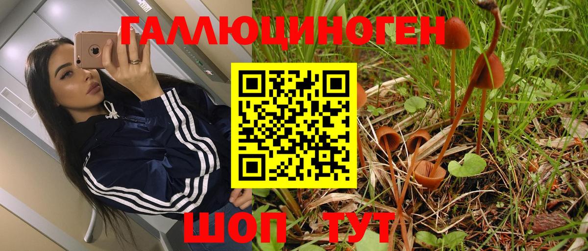 где найти наркотики  Вход с VPN  Лосино-Петровский  Галлюциногенные грибы Magic Shrooms 