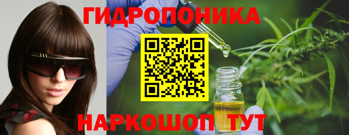 Каннабис сатива Лосино-Петровский